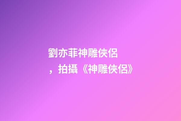 劉亦菲神雕俠侶，拍攝《神雕俠侶》